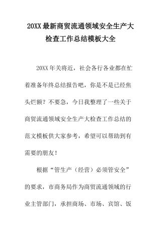 20XX最新商贸流通领域安全生产大检查工作总结模板大全
