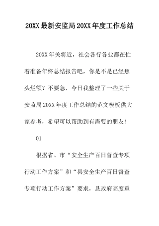 20XX最新安监局20XX年度工作总结