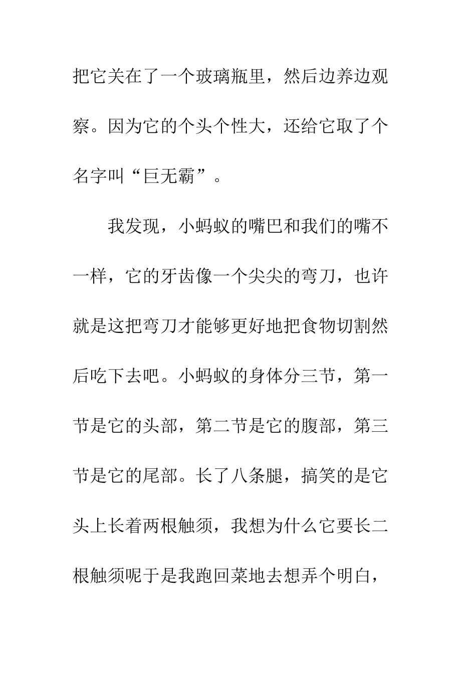 20XX最新小学生观察日记范本_第2页