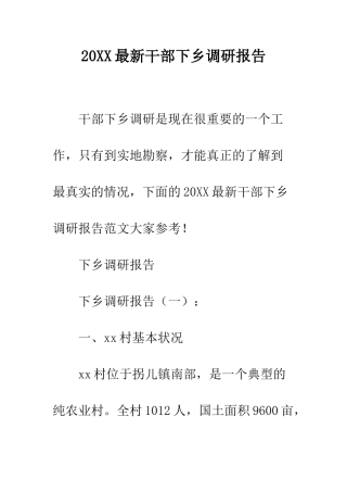 20XX最新干部下乡调研报告