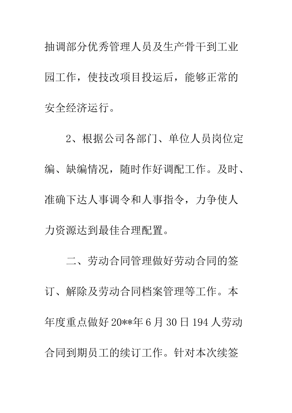 20XX最新新年工作计划_第2页