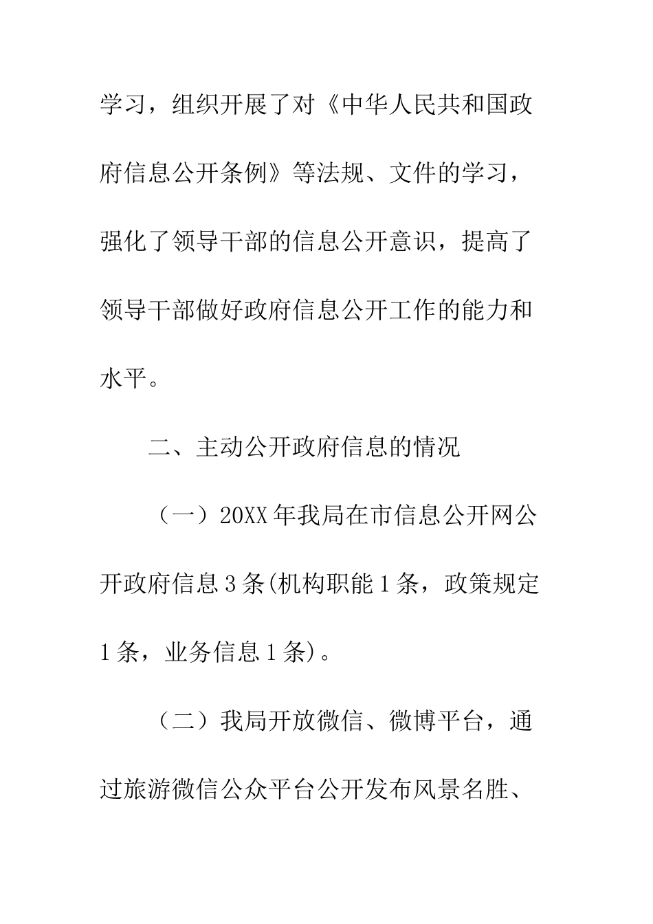 20XX最新旅游局信息公开工作总结_第3页