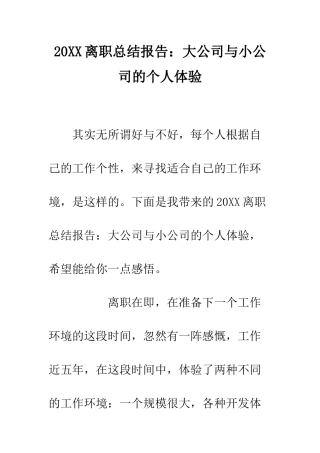 20XX离职总结报告大公司与小公司的个人体验