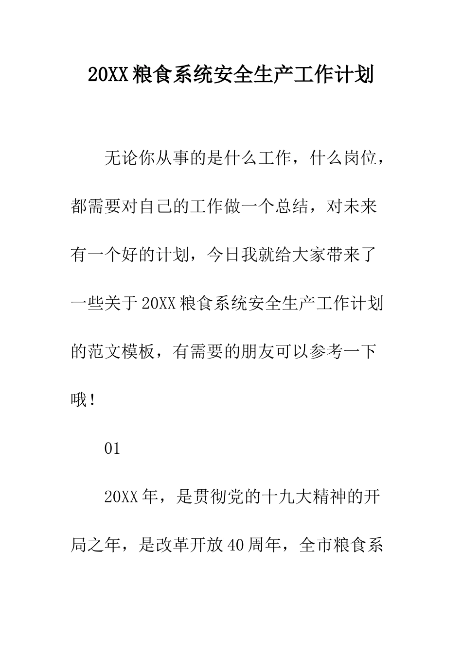 20XX粮食系统安全生产工作计划_第1页