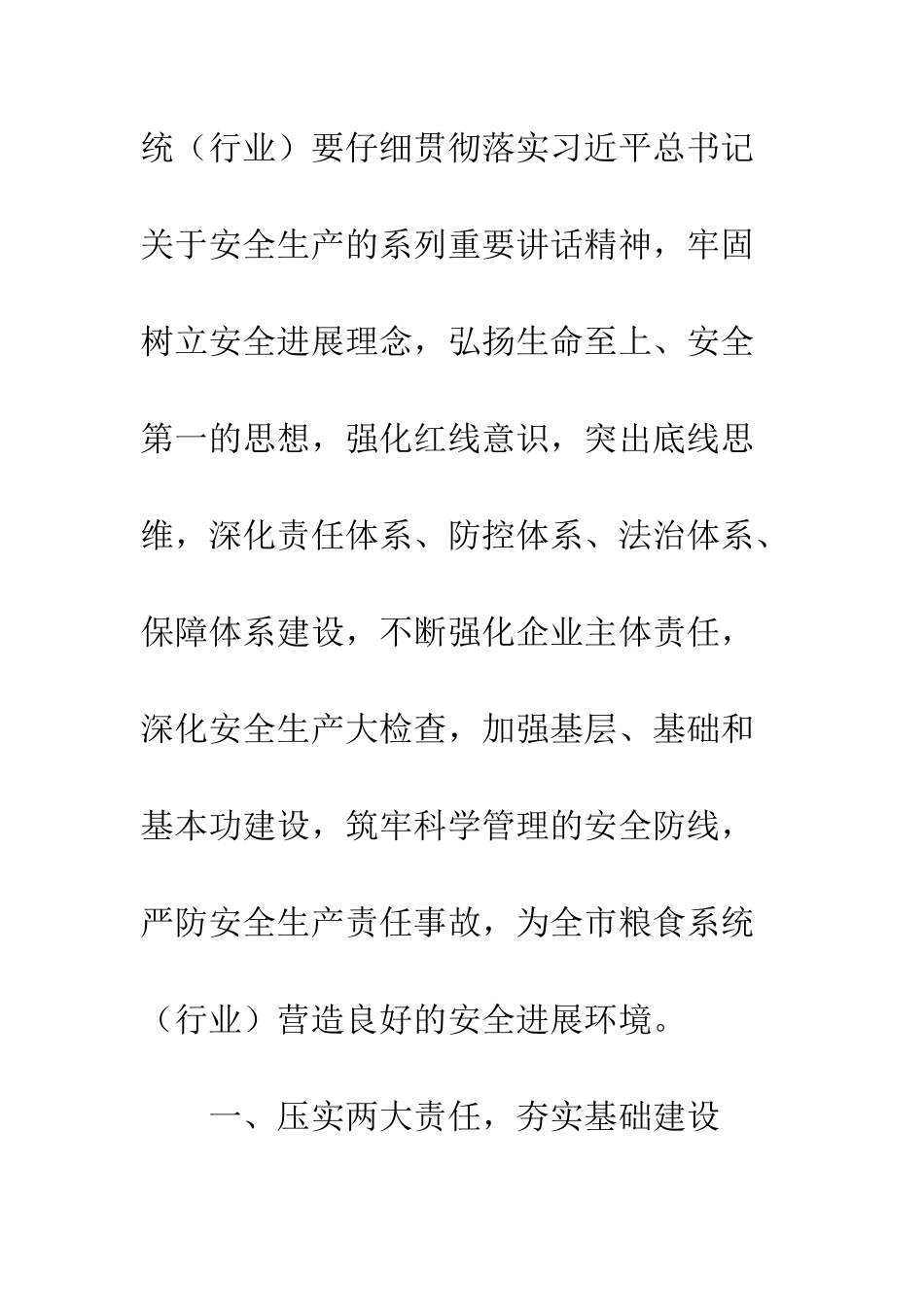 20XX粮食系统安全生产工作计划_第2页
