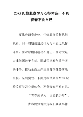 20XX纪检监察学习心得体会不负青春不负自己