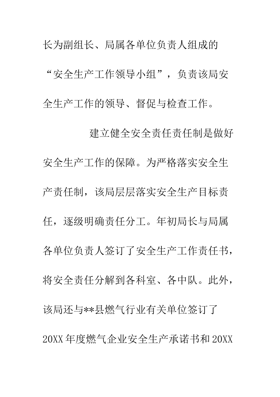 20XX综合行政执法局第一季度安全生产工作总结_第3页