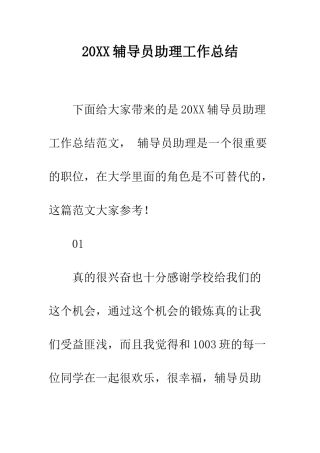 20XX辅导员助理工作总结