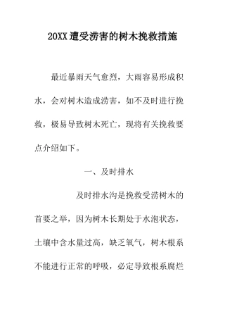 20XX遭受涝害的树木挽救措施