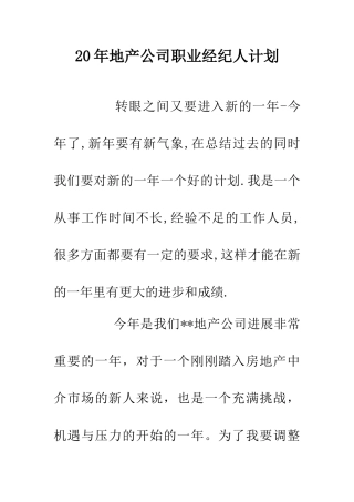 20年地产公司职业经纪人计划