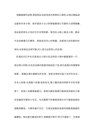 4我最喜爱的动物-普通话