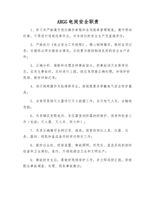 ARGG电岗安全职责