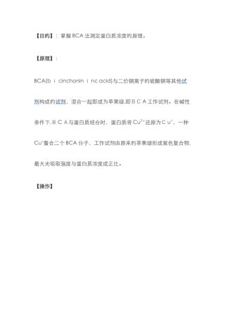 BCA法测蛋白浓度