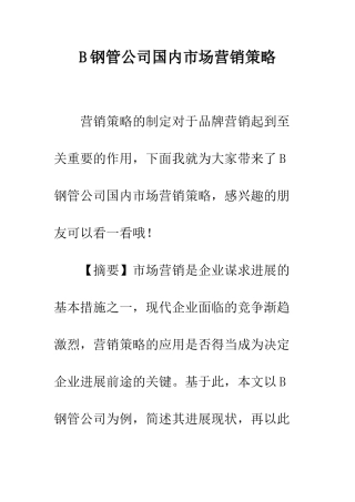 B钢管公司国内市场营销策略