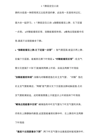 CT肺的分叶分段