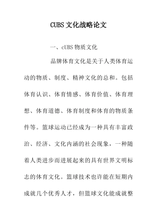 CUBS文化战略论文