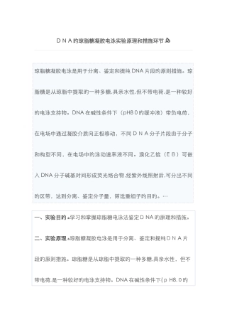 DNA的琼脂糖凝胶电泳实验原理和方法步骤