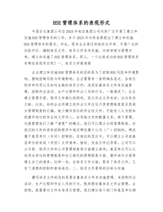 HSE管理体系的表现形式