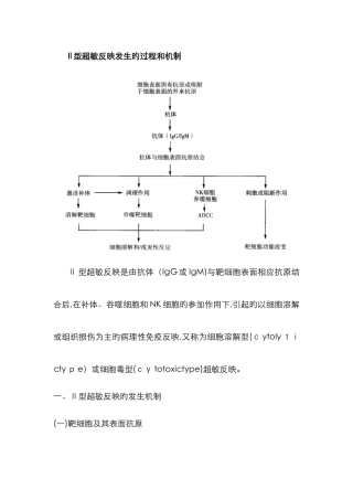 II型超敏反应发生的过程和机制