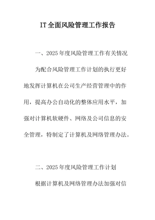 IT全面风险管理工作报告