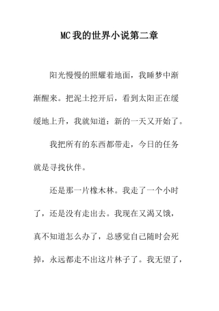 MC我的世界小说第二章