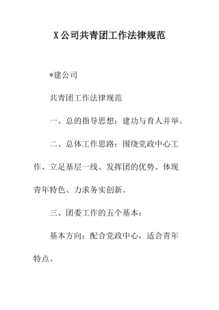 X公司共青团工作规范