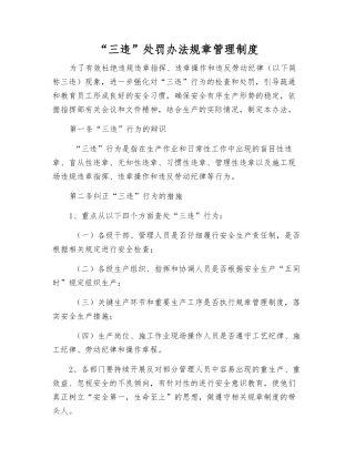 “三违”处罚办法规章制度