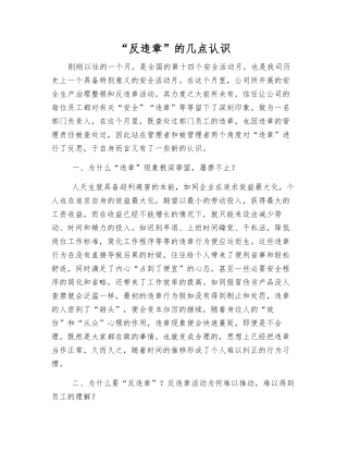 “反违章”的几点认识