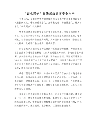 “四化同步”抓紧抓细抓实安全生产