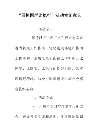 “四抓四严比执行”活动实施意见