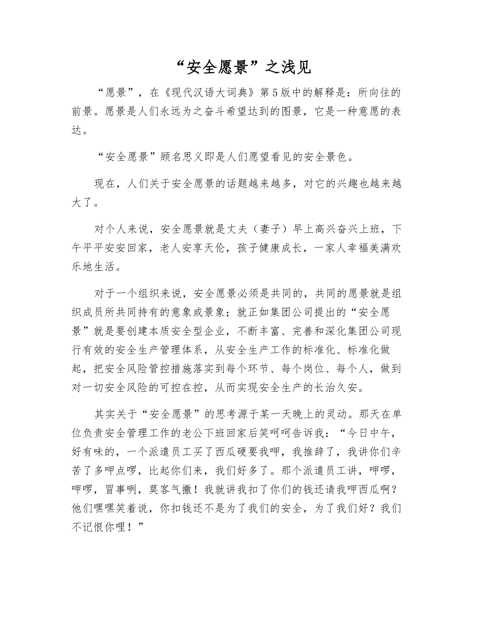 “安全愿景”之浅见_第1页