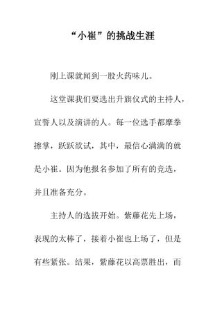 “小崔”的挑战生涯