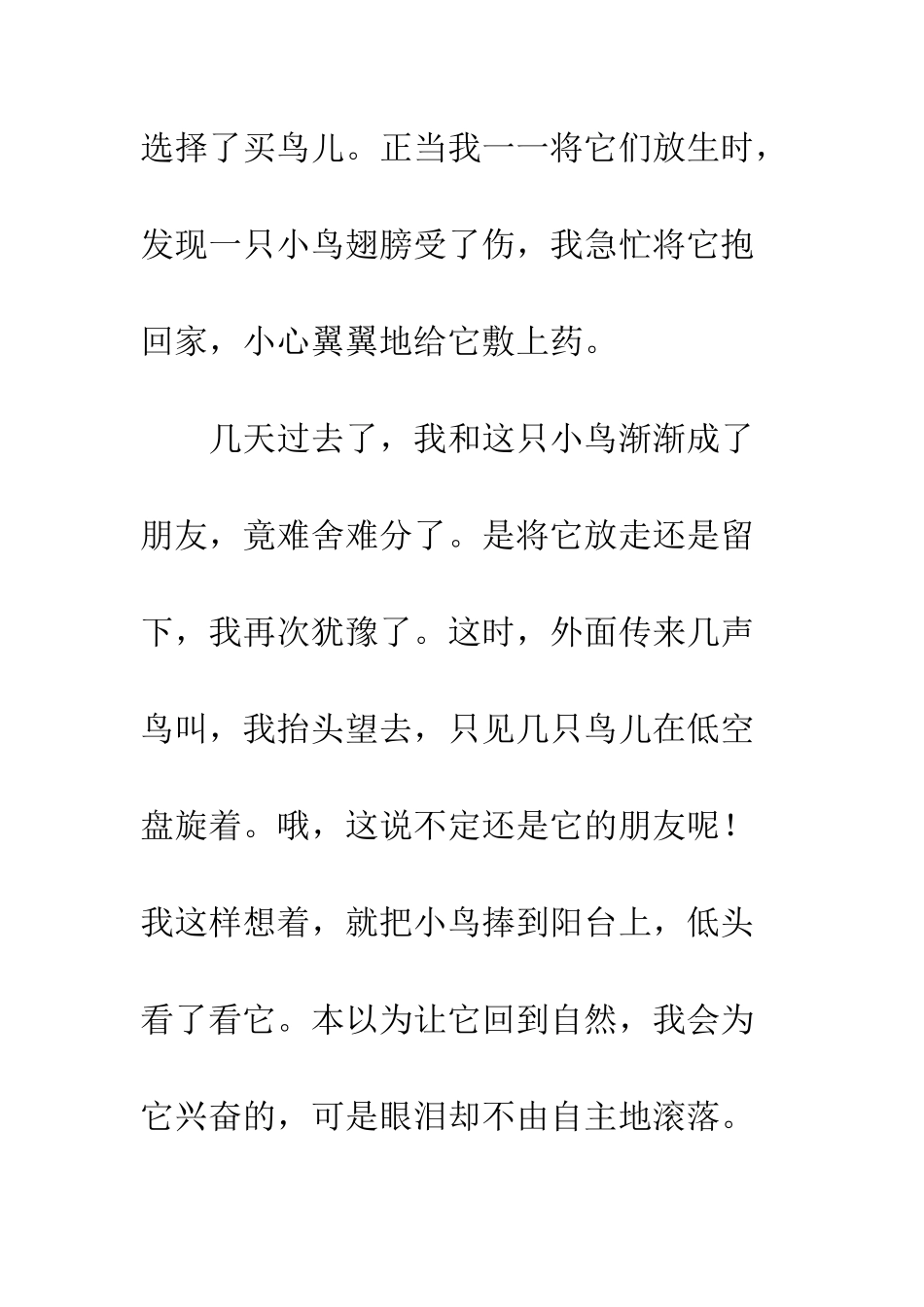 “小鸟-你自由了!”_第2页