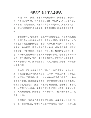 “形式”安全不只是形式