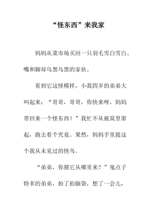 “怪东西”来我家