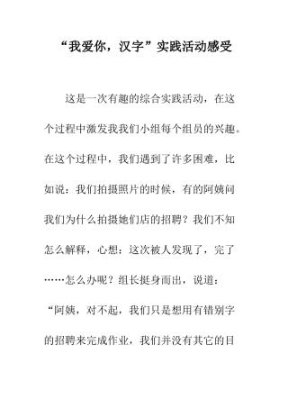 “我爱你-汉字”实践活动感受----1