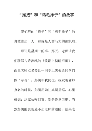 “拖把”和“鸡毛掸子”的故事
