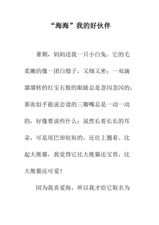 “海海”我的好伙伴