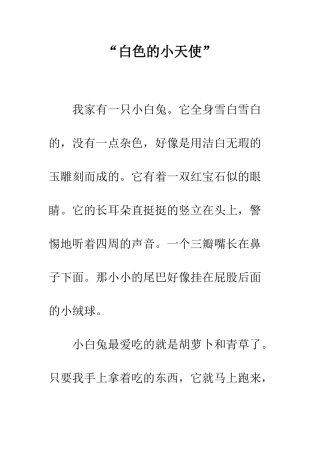 “白色的小天使”