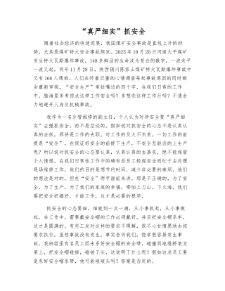 “真严细实”抓安全