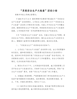 “系统安全生产大检查”活动小结