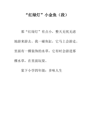 “红绿灯”小金鱼