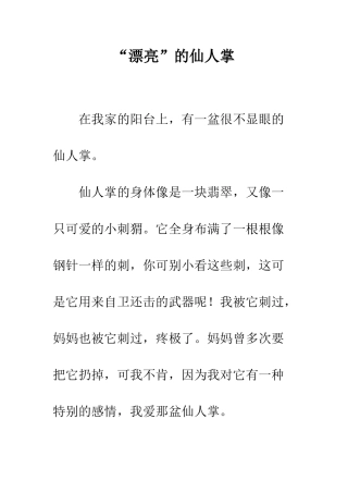 “美丽”的仙人掌