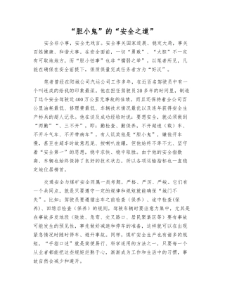 “胆小鬼”的“安全之道”