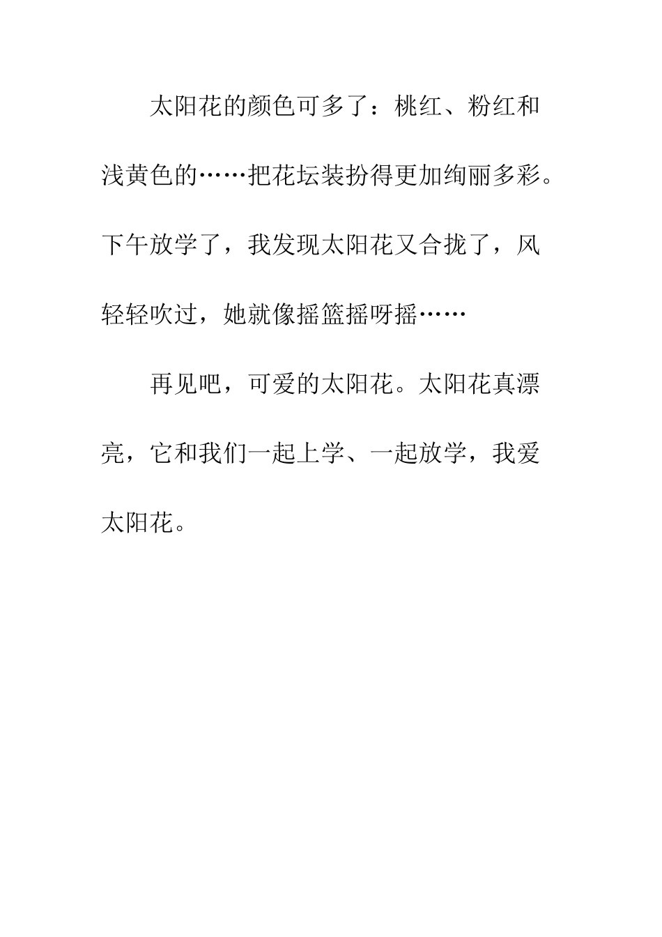 “能变”的太阳花_第2页