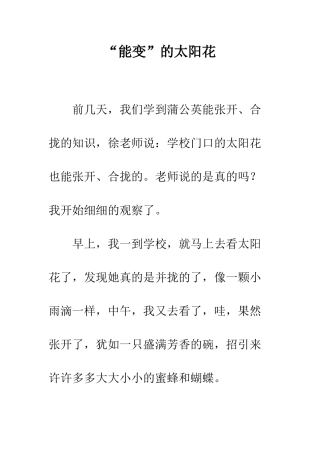 “能变”的太阳花