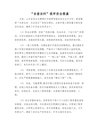 “自查自纠”筑牢安全根基