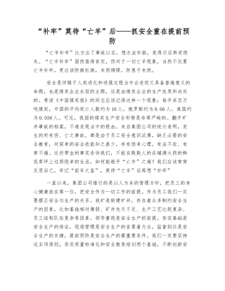 “补牢”莫待“亡羊”后——抓安全重在超前预防