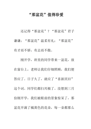 “那盆花”值得珍爱