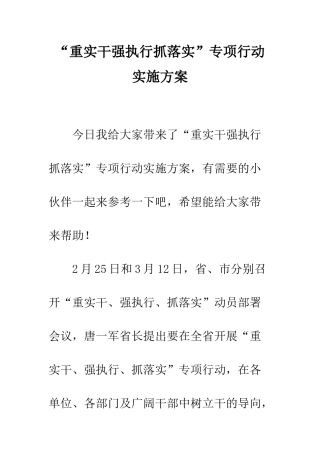 “重实干强执行抓落实”专项行动实施方案